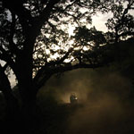 Dramatic landscapes